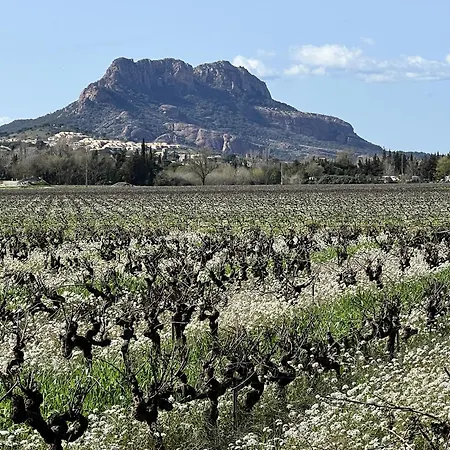 Mobilhome Au * Roquebrune-sur-Argens